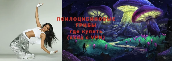 соль ск Алексин