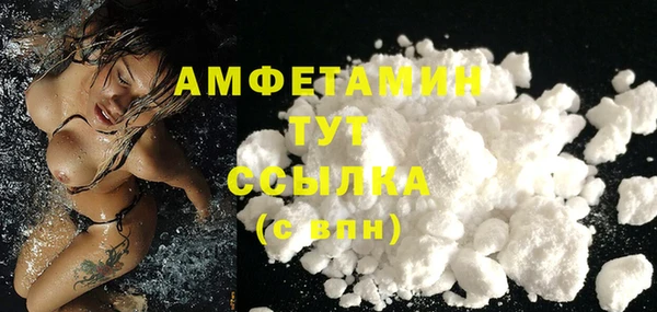 хмурый Алзамай