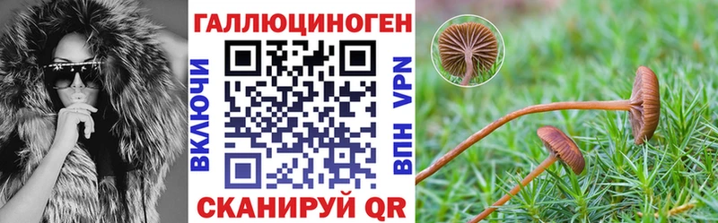 Псилоцибиновые грибы прущие грибы  Могоча 